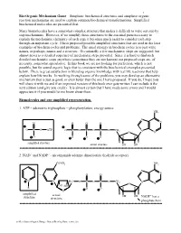 Bio-Organic Mechanism Game – Simplistic Biochemical Structures and Simplistic Organic Reaction Mechanisms Are Used to Explain Common Biochemical Transformations