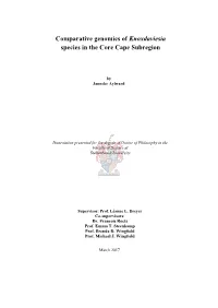 Comparative Genomics of Knoxdaviesia Species in the Core Cape Subregion