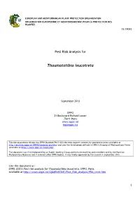 EPPO PRA on Thaumatotibia