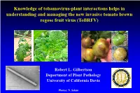 Knowledge of Tobamovirus-Plant Interactions Helps in Understanding and Managing the New Invasive Tomato Brown Regose Fruit Virus (Tobrfv)