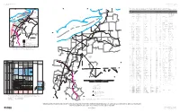 Stratigraphic Framework And