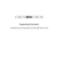 Supporting Information