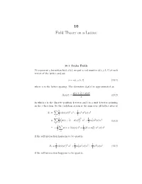 10 Field Theory on a Lattice