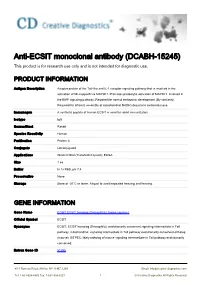Anti-ECSIT Monoclonal Antibody (DCABH-15245) This Product Is for Research Use Only and Is Not Intended for Diagnostic Use