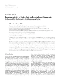 Foraging Activity of Native Ants on Trees in Forest Fragments Colonized by the Invasive Ant Lasius Neglectus