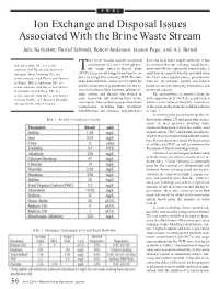 Ion Exchange and Disposal Issues Associated with the Brine Waste Stream