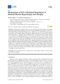 Mechanisms of IGF-1-Mediated Regulation of Skeletal Muscle Hypertrophy and Atrophy
