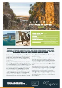 Explore the Camden Haven Day Trip Itinerary