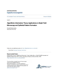 Algorithmic Information Theory Applications in Bright Field Microscopy and Epithelial Pattern Formation