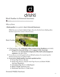 Black Panther in Netravali Sanctuary