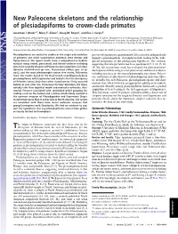 New Paleocene Skeletons and the Relationship of Plesiadapiforms to Crown-Clade Primates