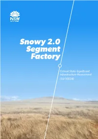 Snowy 2.0 Segment Factory (SSI 10034) | Assessment Report Ii