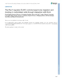 The Rac1 Regulator ELMO Controls Basal Body Migration and Docking