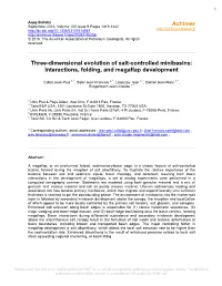 Three-Dimensional Evolution of Salt-Controlled Minibasins: Interactions, Folding, and Megaflap Development