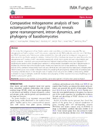 Comparative Mitogenome Analysis of Two Ectomycorrhizal Fungi (Paxillus