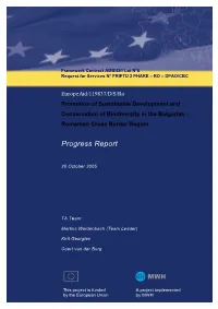 Progress Report