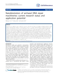 VIEW Open Access Nanobiomotors of Archaeal DNA Repair Machineries: Current Research Status and Application Potential Wenyuan Han1,2, Yulong Shen1* and Qunxin She2*