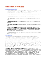 What's New at Riiff 2008