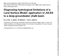 Diagnosing Hydrological Limitations of a Land Surface Model