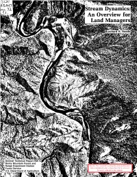 Stream Dynamics Are Demonstrated Through Dis- Cussion of Processes and Process Indicators; Theory Is Included Only Where Helpful to Explain Concepts