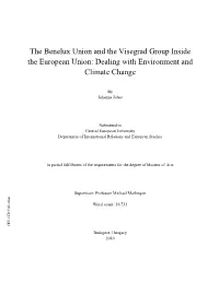 The Benelux Union and the Visegrad Group Inside the European Union