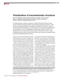 Visualization of Macromolecular Structures