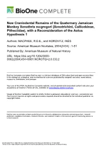 Xenothrix Mcgregori (Xenotrichini, Callicebinae, Pitheciidae), with a Reconsideration of the Aotus Hypothesis 1