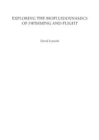 Exploring the Biofluiddynamics of Swimming and Flight