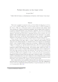 Pattern Formation in the Visual Cortex