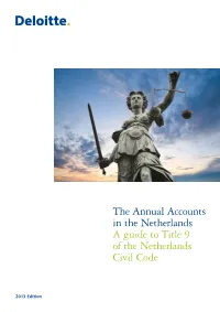 The Annual Accounts in the Netherlands a Guide to Title 9 of the Netherlands Civil Code