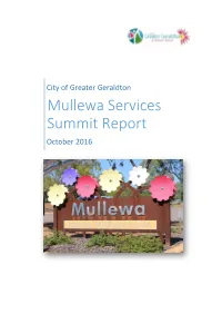 City of Greater Geraldton Mullewa Services Summit Report