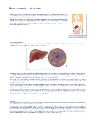 Hemochromatosis: Introduction