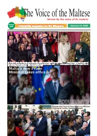 Layout VGD Copy