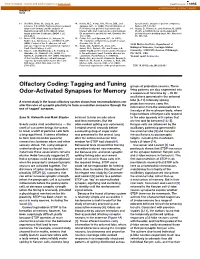 Olfactory Coding: Tagging and Tuning Odor-Activated Synapses for Memory