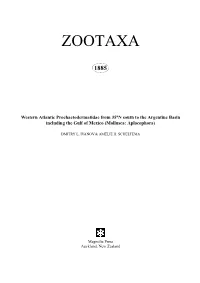 Zootaxa, Western Atlantic Prochaetodermatidae from 35