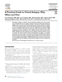 A Practical Guide to Virtual Autopsy: Why, When And