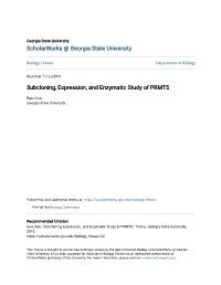 Subcloning, Expression, and Enzymatic Study of PRMT5