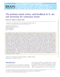 The Primary Visual Cortex, and Feedback to It, Are Not Necessary for Conscious Vision