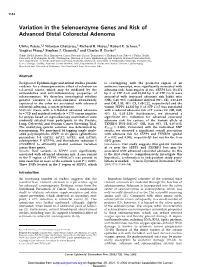Variation in the Selenoenzyme Genes and Risk of Advanced Distal Colorectal Adenoma