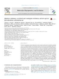 Adaptive Radiation, Correlated and Contingent Evolution, and Net Species Diversiﬁcation in Bromeliaceae