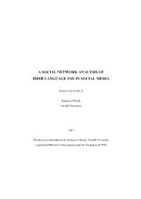 A Social Network Analysis of Irish Language Use in Social Media