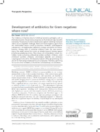 Development of Antibiotics for Gram-Negatives: Where Now?