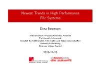Newest Trends in High Performance File Systems