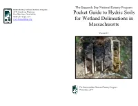 Pocket Guide to Hydric Soils for Wetland Delineations In