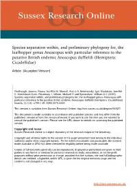 Species Separation Within, and Preliminary Phylogeny For, The
