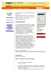 Development of the Prefrontal Cortex Table of Contents