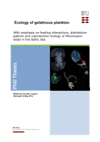 Ecology of Gelatinous Plankton