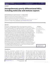 Extrapulmonary Poorly Differentiated Necs, Including Molecular and Immune Aspects