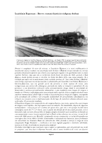 Lusitânia Expresso – Breve Resumo Histórico (Alguns Dados)