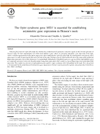 The Opitz Syndrome Gene MID1 Is Essential for Establishing Asymmetric Gene Expression in Hensen's Node